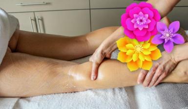 Promoção de Primavera - Promoção de Primavera