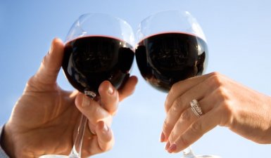 Bacchus’s Flavours Program - Bacchus’s Flavours Program