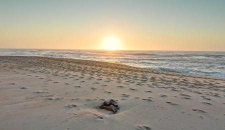 Multidimensional therapy